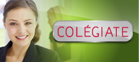 banner3